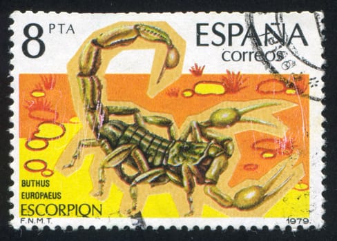 SPAIN - CIRCA 1979: stamp printed by Spain, shows Scorpion, circa 1979