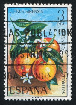 SPAIN - CIRCA 1975: stamp printed by Spain, shows Oranges, circa 1975