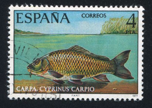 SPAIN - CIRCA 1977: stamp printed by Spain, shows Carp, circa 1977