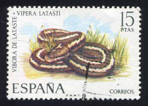 SPAIN - CIRCA 1974: stamp printed by Spain, shows Viper, circa 1974