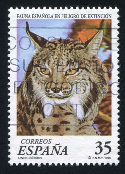 SPAIN - CIRCA 1998: stamp printed by Spain, shows Lynx, circa 1998