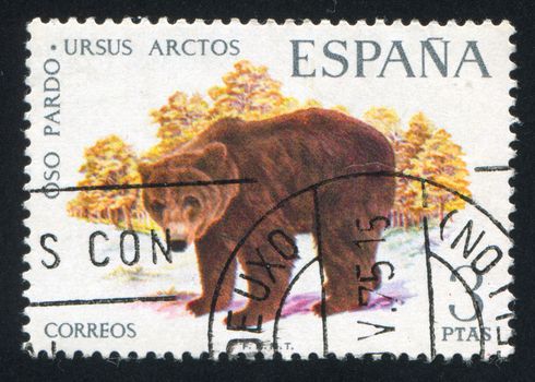 SPAIN - CIRCA 1971: stamp printed by Spain, shows Brown bear, circa 1971