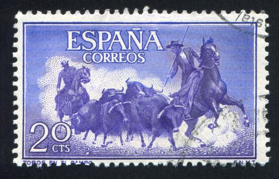 SPAIN - CIRCA 1960: stamp printed by Spain, shows Rounding up bulls, circa 1960