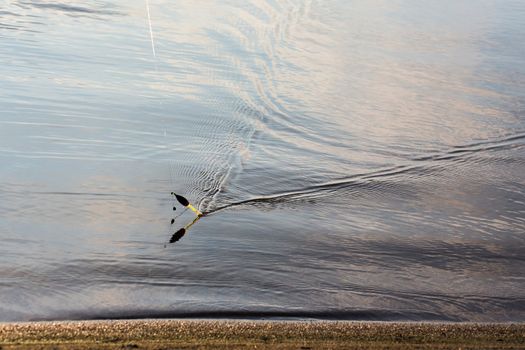 The fishing float in the cristal water