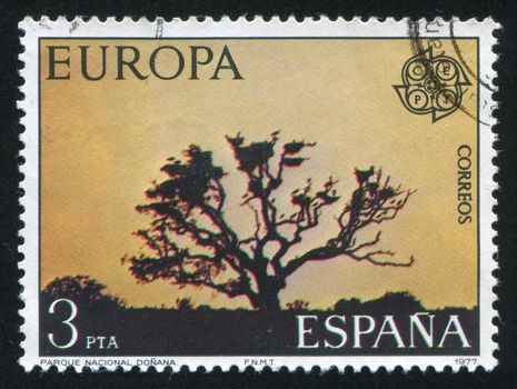 SPAIN - CIRCA 1977: stamp printed by Spain, shows Tree in Donana National Park, Europa, circa 1977