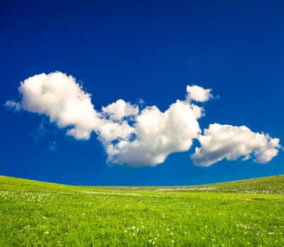 Green spring meadows in the mountains and blue sky