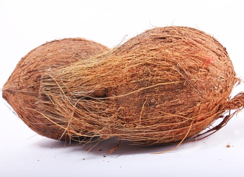 coconut on isolated background