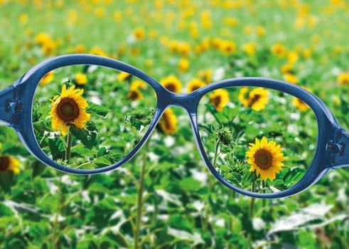 View from reading eyeglasses on beautiful nature view, healthy eyesight concept 