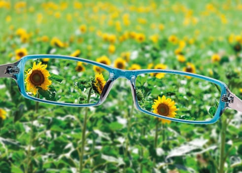 View from reading eyeglasses on beautiful nature view, healthy eyesight concept 