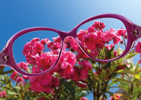 View from reading eyeglasses on beautiful nature view, healthy eyesight concept 