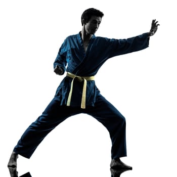 one asian young man exercising martial arts karate vietvodao in silhouette studio isolated on white background