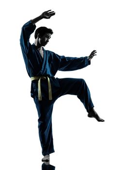 one asian young man exercising martial arts karate vietvodao in silhouette studio isolated on white background
