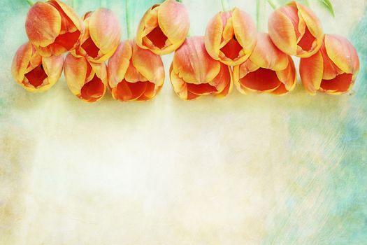 Row of beautiful orange tulips over a textured background with copy space. 