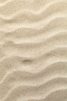 Sandy beach texture for background. Top view