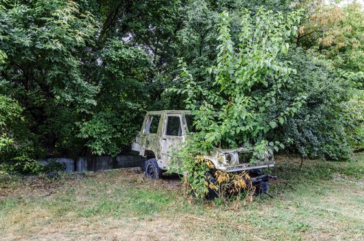 Old russian car with tree grown in it.