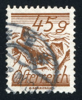 AUSTRIA - CIRCA 1925: stamp printed by Austria, shows White Shouldered Eagle, circa 1925