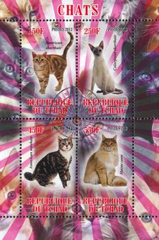 CHAD - CIRCA 2013: stamp printed by Chad, shows cat, circa 2013
