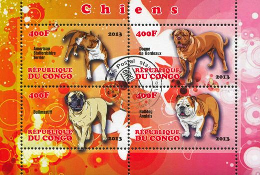 CONGO - CIRCA 2013: stamp printed by Congo, shows dog, circa 2013