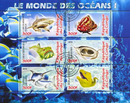 CONGO - CIRCA 2010: stamp printed by Congo, shows underwater, circa 2010