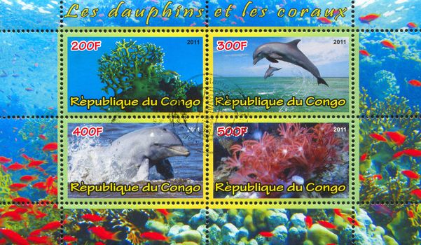 CONGO - CIRCA 2011: stamp printed by Congo, shows Dolphins and Corals, circa 2011