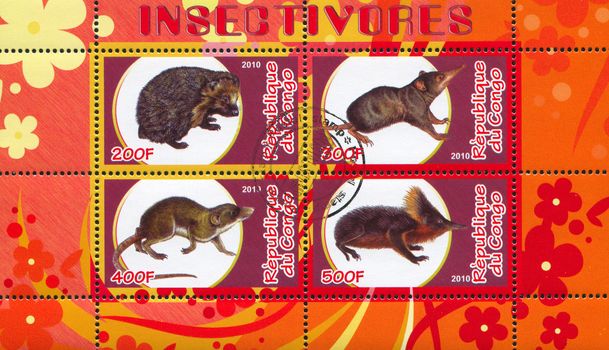 CONGO - CIRCA 2010: stamp printed by Congo, shows animal, circa 2010