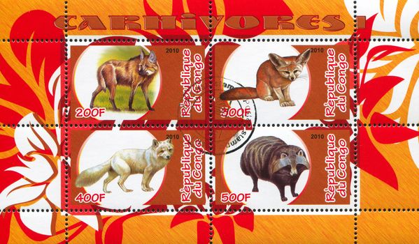 CONGO - CIRCA 2010: stamp printed by Congo, shows animals, circa 2010