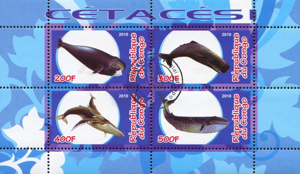 CONGO - CIRCA 2010: stamp printed by Congo, shows Whale, circa 2010