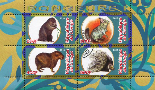 CONGO - CIRCA 2010: stamp printed by Congo, shows animalss, circa 2010