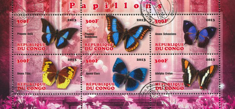 CONGO - CIRCA 2013: stamp printed by Congo, shows butterfly, circa 2013