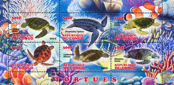 CONGO - CIRCA 2012: stamp printed by Congo, shows sea turtle, circa 2012