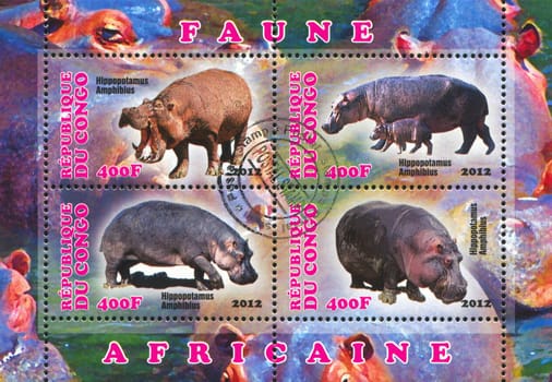 CONGO - CIRCA 2012: stamp printed by Congo, shows Hippopotamus, circa 2012