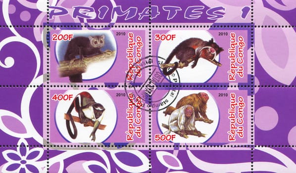 CONGO - CIRCA 2010: stamp printed by Congo, shows animal, circa 2010