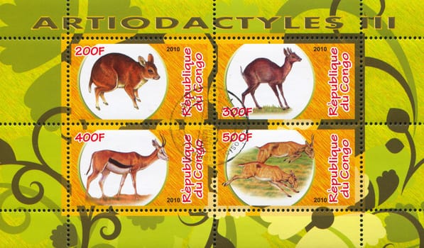 CONGO - CIRCA 2010: stamp printed by Congo, shows Wild animal, circa 2010