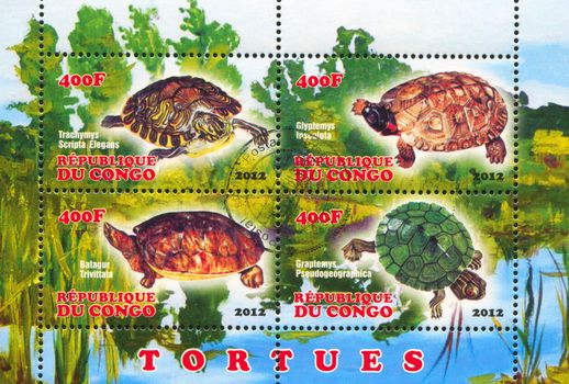 CONGO - CIRCA 2012: stamp printed by Congo, shows turtle, circa 2012