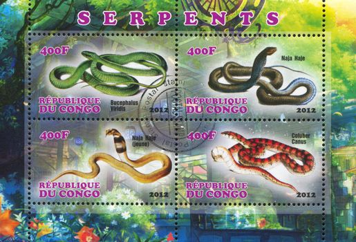 CONGO - CIRCA 2012: stamp printed by Congo, shows snake, circa 2012