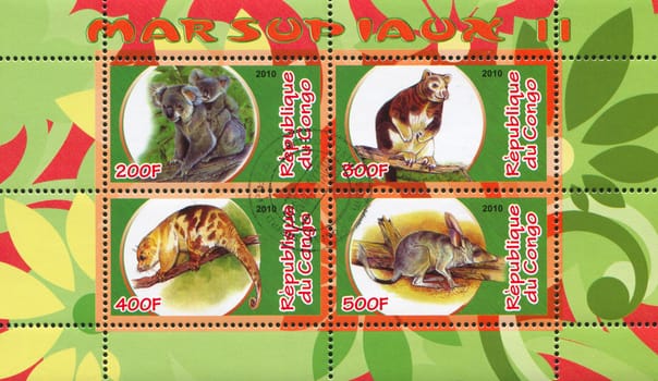 CONGO - CIRCA 2010: stamp printed by Congo, shows Wild animal, circa 2010