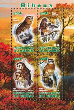 CONGO - CIRCA 2012: stamp printed by Congo, shows owl, circa 2012