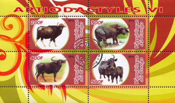 CONGO - CIRCA 2010: stamp printed by Congo, shows African buffalo, circa 2010