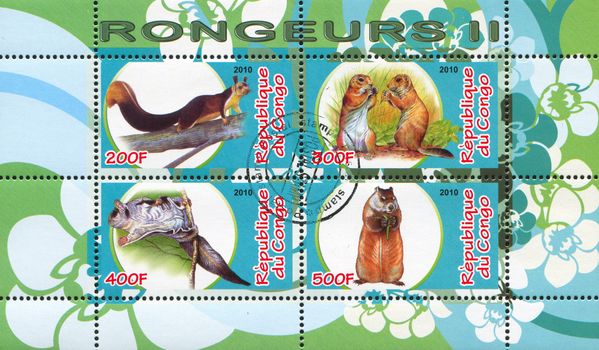 CONGO - CIRCA 2010: stamp printed by Congo, shows animals, circa 2010
