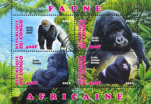CONGO - CIRCA 2012: stamp printed by Congo, shows Mountain gorilla, circa 2012