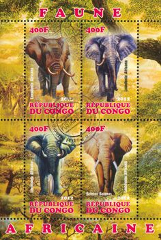 CONGO - CIRCA 2012: stamp printed by Congo, shows elephant, circa 2012
