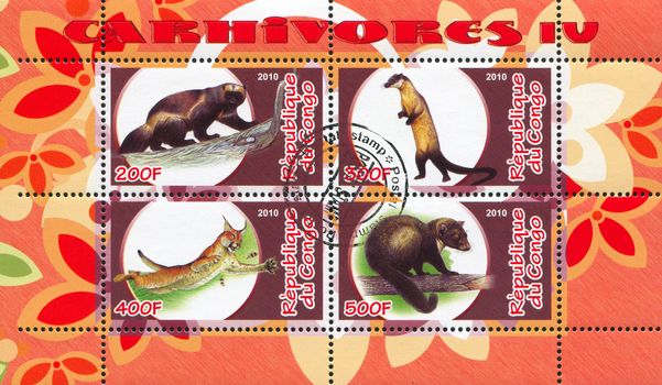 CONGO - CIRCA 2010: stamp printed by Congo, shows animals, circa 2010