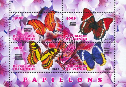 CONGO - CIRCA 2012: stamp printed by Congo, shows butterfly, circa 2012