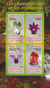 CONGO - CIRCA 2011: stamp printed by Congo, shows flora, circa 2011