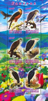 CONGO - CIRCA 2012: stamp printed by Congo, shows Eagle and Hawk, circa 2012