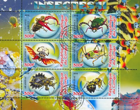 CONGO - CIRCA 2010: stamp printed by Congo, shows insects, circa 2010