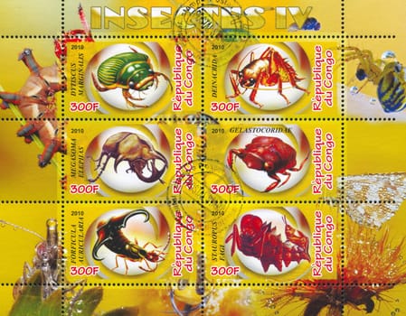 CONGO - CIRCA 2010: stamp printed by Congo, shows insects, circa 2010