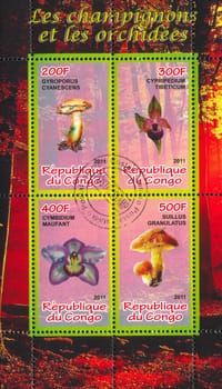 CONGO - CIRCA 2011: stamp printed by Congo, shows flora, circa 2011