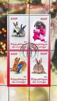 CONGO - CIRCA 2011: stamp printed by Congo, shows Rabbit, circa 2011
