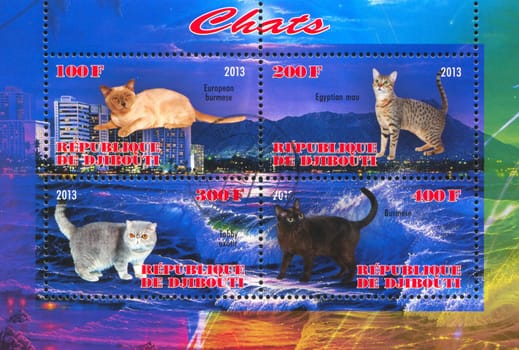 DJIBOUTI - CIRCA 2013: stamp printed by Djibouti, shows cat, circa 2013